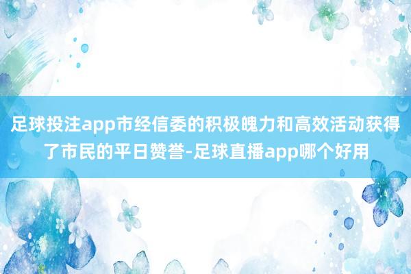 足球投注app市经信委的积极魄力和高效活动获得了市民的平日赞誉-足球直播app哪个好用