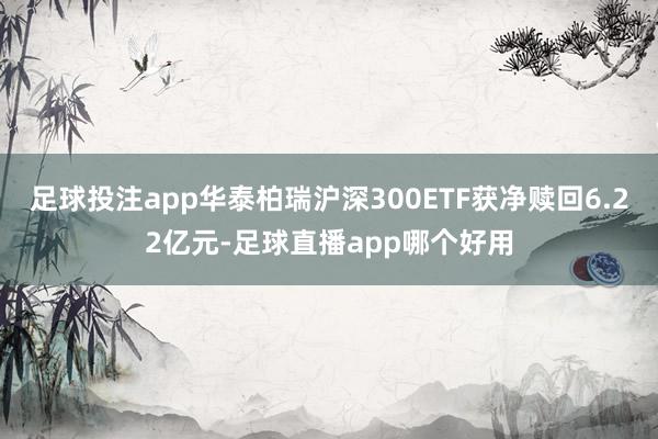 足球投注app华泰柏瑞沪深300ETF获净赎回6.22亿元-足球直播app哪个好用