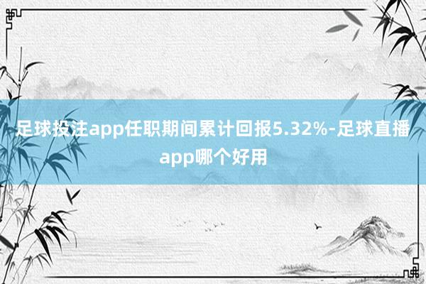 足球投注app任职期间累计回报5.32%-足球直播app哪个好用