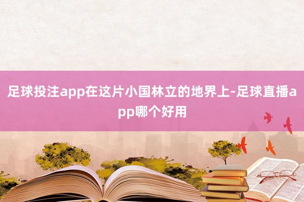 足球投注app在这片小国林立的地界上-足球直播app哪个好用