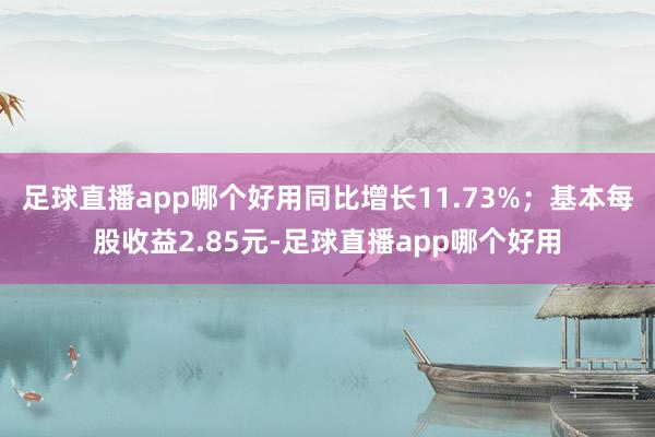 足球直播app哪个好用同比增长11.73%；基本每股收益2.85元-足球直播app哪个好用