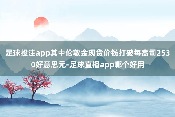 足球投注app其中伦敦金现货价钱打破每盎司2530好意思元-足球直播app哪个好用