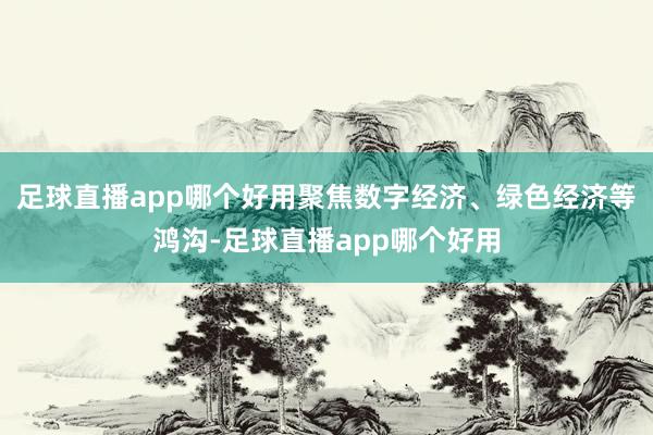 足球直播app哪个好用聚焦数字经济、绿色经济等鸿沟-足球直播app哪个好用