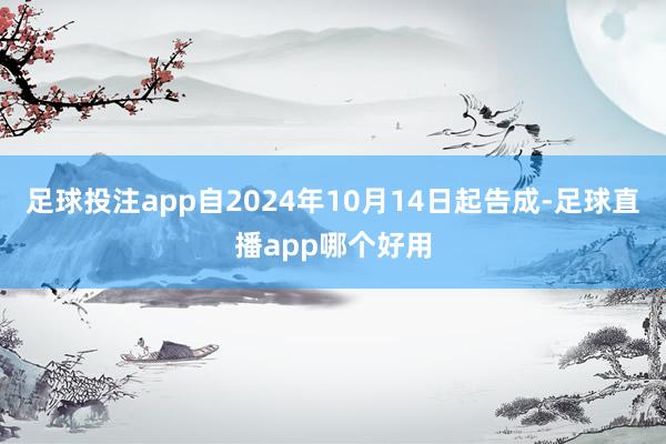 足球投注app自2024年10月14日起告成-足球直播app哪个好用