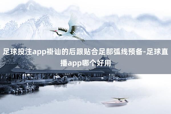 足球投注app褂讪的后跟贴合足部弧线预备-足球直播app哪个好用