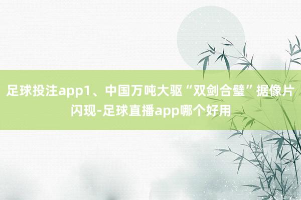 足球投注app1、中国万吨大驱“双剑合璧”据像片闪现-足球直播app哪个好用