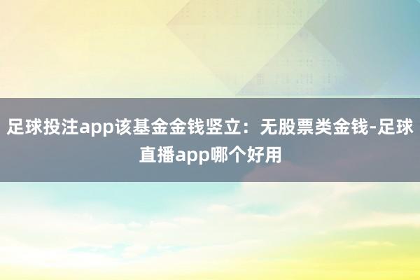 足球投注app该基金金钱竖立：无股票类金钱-足球直播app哪个好用