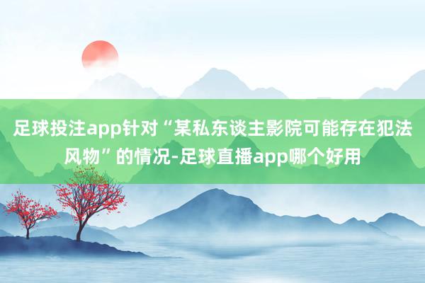 足球投注app针对“某私东谈主影院可能存在犯法风物”的情况-足球直播app哪个好用