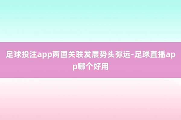 足球投注app两国关联发展势头弥远-足球直播app哪个好用