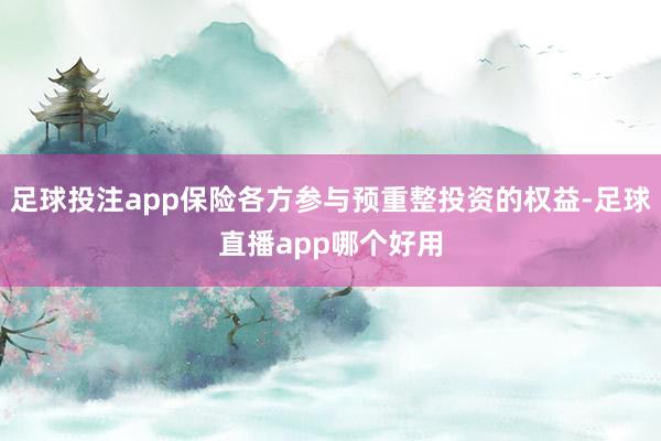 足球投注app保险各方参与预重整投资的权益-足球直播app哪个好用