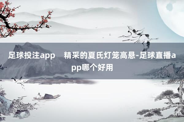 足球投注app    精采的夏氏灯笼高悬-足球直播app哪个好用