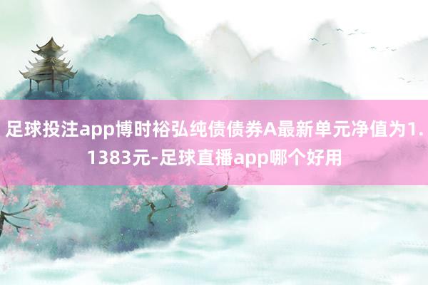 足球投注app博时裕弘纯债债券A最新单元净值为1.1383元-足球直播app哪个好用