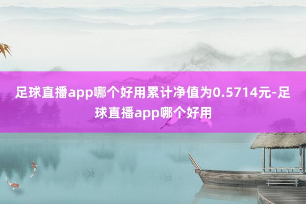 足球直播app哪个好用累计净值为0.5714元-足球直播app哪个好用