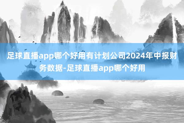 足球直播app哪个好用有计划公司2024年中报财务数据-足球直播app哪个好用