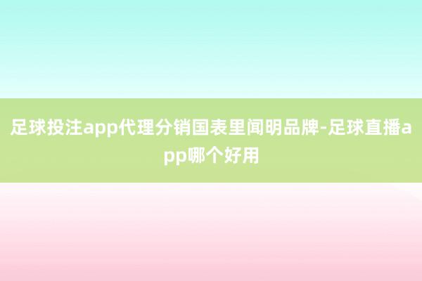 足球投注app代理分销国表里闻明品牌-足球直播app哪个好用