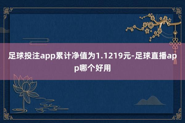 足球投注app累计净值为1.1219元-足球直播app哪个好用