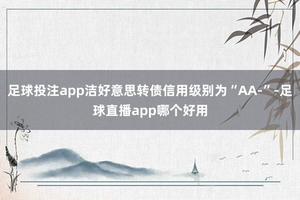 足球投注app洁好意思转债信用级别为“AA-”-足球直播app哪个好用