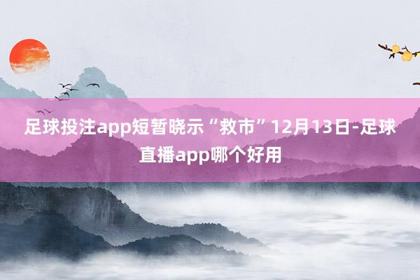 足球投注app　　短暂晓示“救市”　　12月13日-足球直播app哪个好用