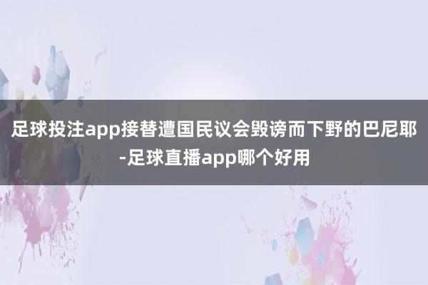 足球投注app接替遭国民议会毁谤而下野的巴尼耶-足球直播app哪个好用