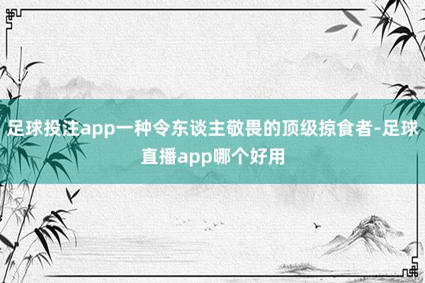 足球投注app一种令东谈主敬畏的顶级掠食者-足球直播app哪个好用