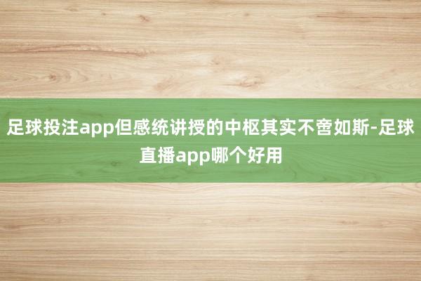 足球投注app但感统讲授的中枢其实不啻如斯-足球直播app哪个好用