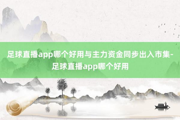 足球直播app哪个好用与主力资金同步出入市集-足球直播app哪个好用