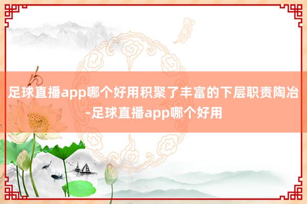 足球直播app哪个好用积聚了丰富的下层职责陶冶-足球直播app哪个好用