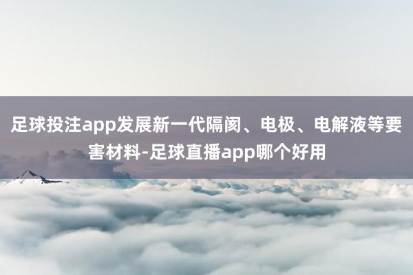 足球投注app发展新一代隔阂、电极、电解液等要害材料-足球直播app哪个好用