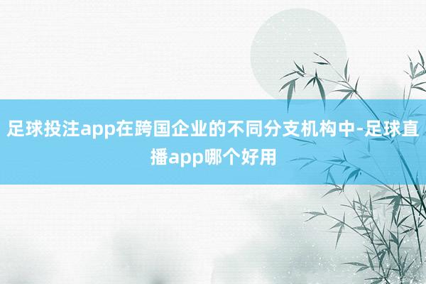 足球投注app在跨国企业的不同分支机构中-足球直播app哪个好用