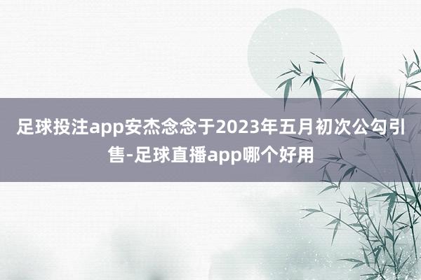 足球投注app安杰念念于2023年五月初次公勾引售-足球直播app哪个好用