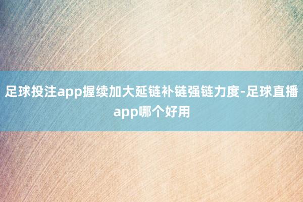 足球投注app握续加大延链补链强链力度-足球直播app哪个好用