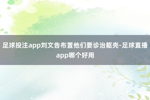 足球投注app刘文告布置他们要诊治躯壳-足球直播app哪个好用