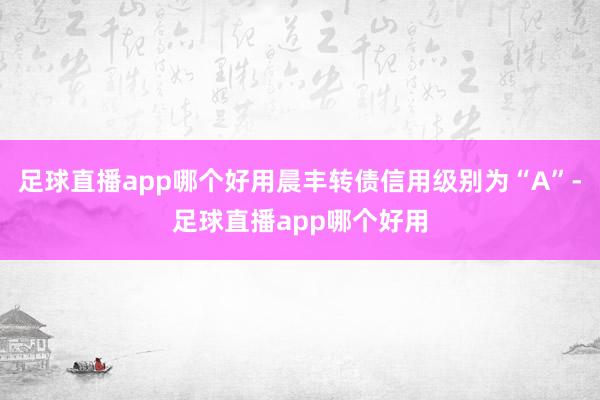 足球直播app哪个好用晨丰转债信用级别为“A”-足球直播app哪个好用