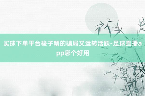 买球下单平台梭子蟹的骗局又运转活跃-足球直播app哪个好用