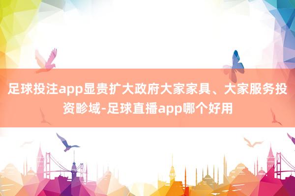 足球投注app显贵扩大政府大家家具、大家服务投资畛域-足球直播app哪个好用