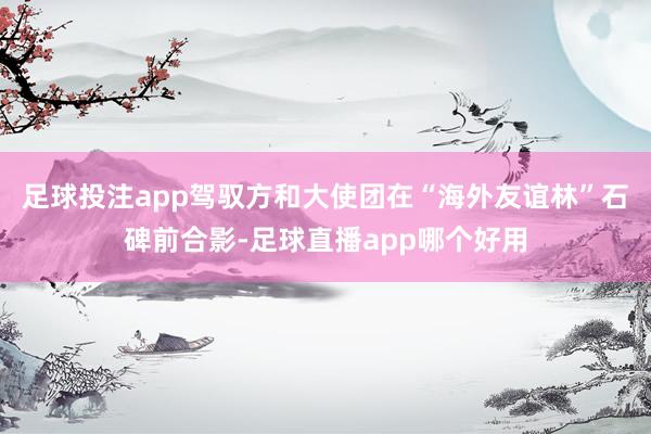 足球投注app驾驭方和大使团在“海外友谊林”石碑前合影-足球直播app哪个好用