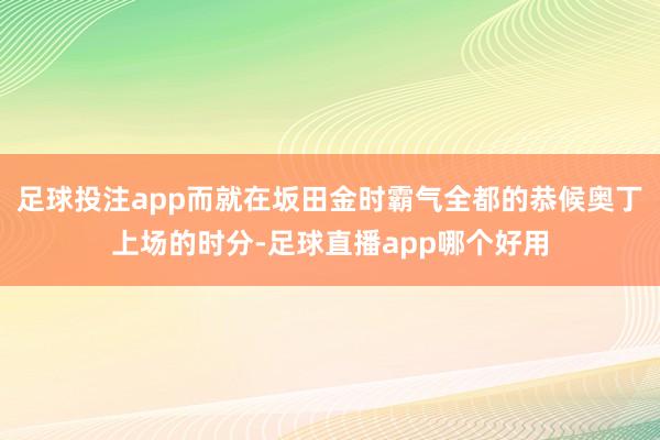 足球投注app而就在坂田金时霸气全都的恭候奥丁上场的时分-足球直播app哪个好用