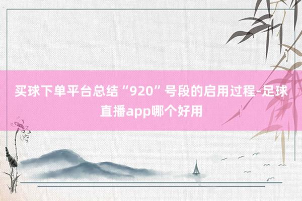 买球下单平台　　总结“920”号段的启用过程-足球直播app哪个好用