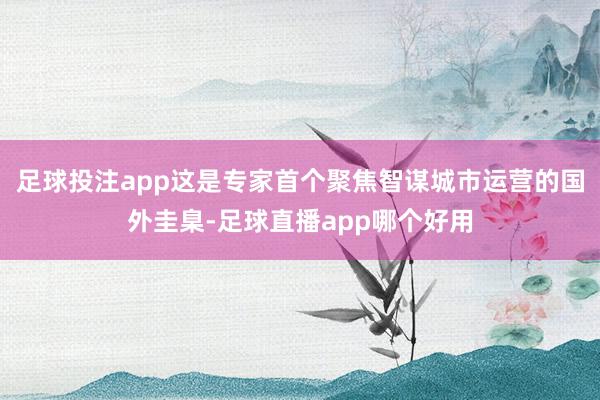 足球投注app这是专家首个聚焦智谋城市运营的国外圭臬-足球直播app哪个好用