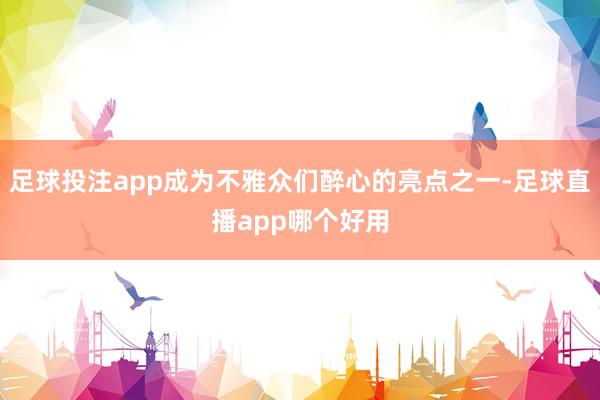 足球投注app成为不雅众们醉心的亮点之一-足球直播app哪个好用