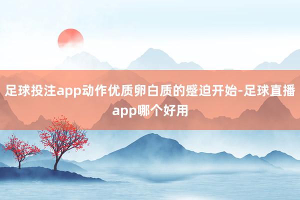 足球投注app动作优质卵白质的蹙迫开始-足球直播app哪个好用