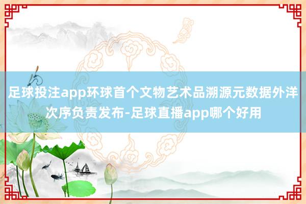 足球投注app环球首个文物艺术品溯源元数据外洋次序负责发布-足球直播app哪个好用