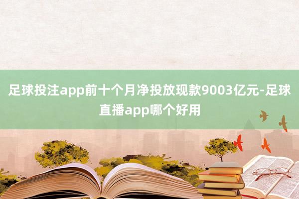 足球投注app前十个月净投放现款9003亿元-足球直播app哪个好用