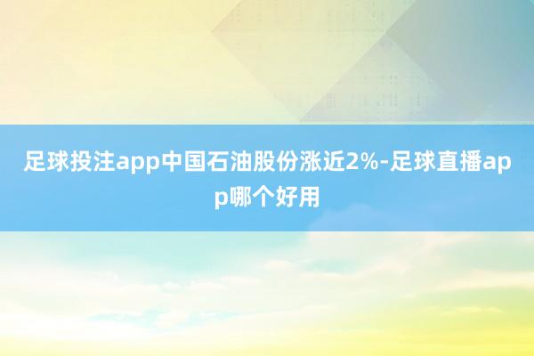 足球投注app中国石油股份涨近2%-足球直播app哪个好用