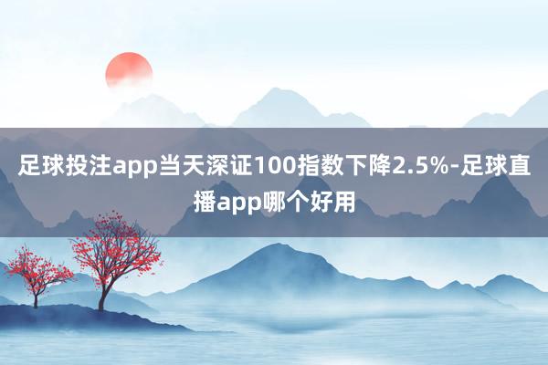足球投注app当天深证100指数下降2.5%-足球直播app哪个好用