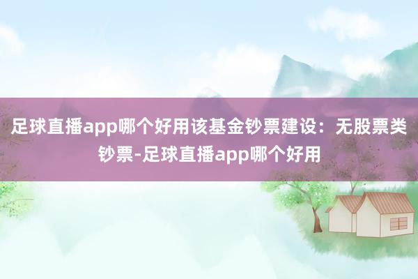 足球直播app哪个好用该基金钞票建设：无股票类钞票-足球直播app哪个好用
