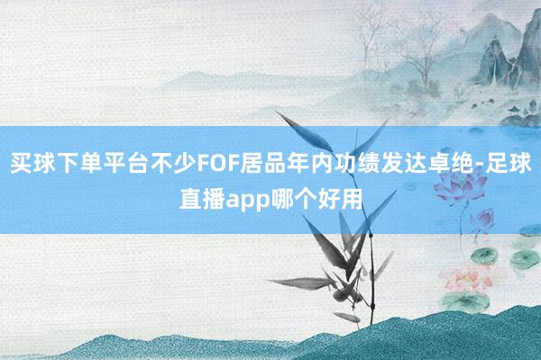 买球下单平台不少FOF居品年内功绩发达卓绝-足球直播app哪个好用