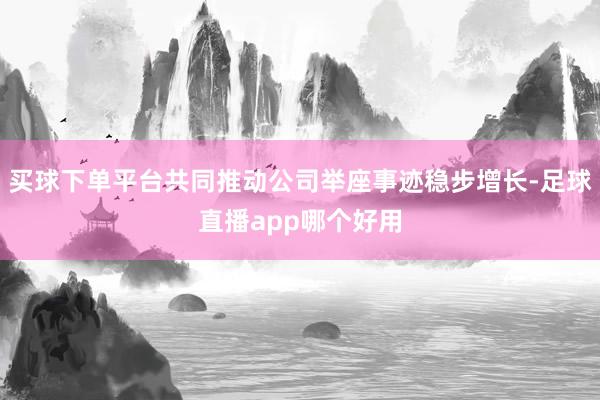 买球下单平台共同推动公司举座事迹稳步增长-足球直播app哪个好用