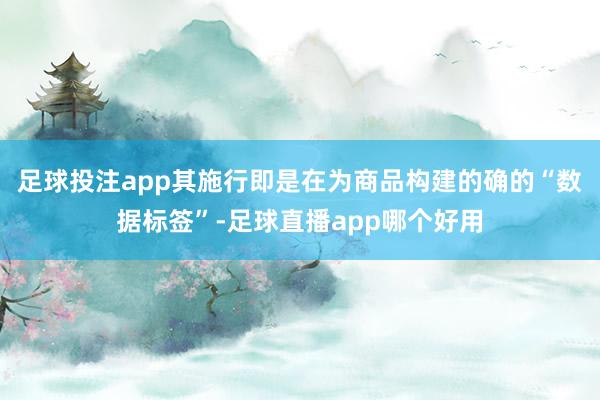 足球投注app其施行即是在为商品构建的确的“数据标签”-足球直播app哪个好用