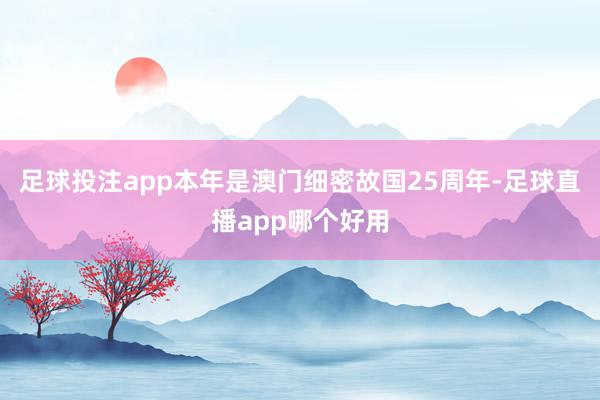 足球投注app本年是澳门细密故国25周年-足球直播app哪个好用